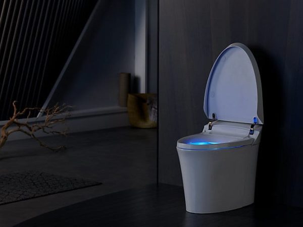 Veil One Piece Integrated Toilet And Bidet By Kohler