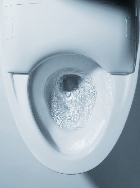 TOTO Neorest NX1 One Piece Toilet Bidet Many Bidets