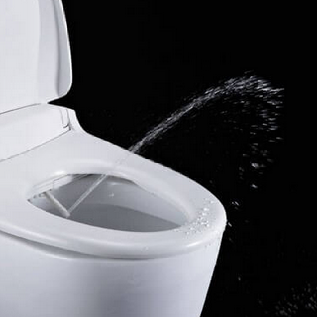 Bidet Spray Nozzle