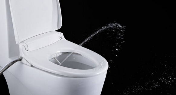 Bidet Spray Nozzle