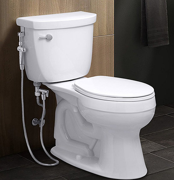 What is a Bidet? 5 Must Know Facts for the Savvy Customer