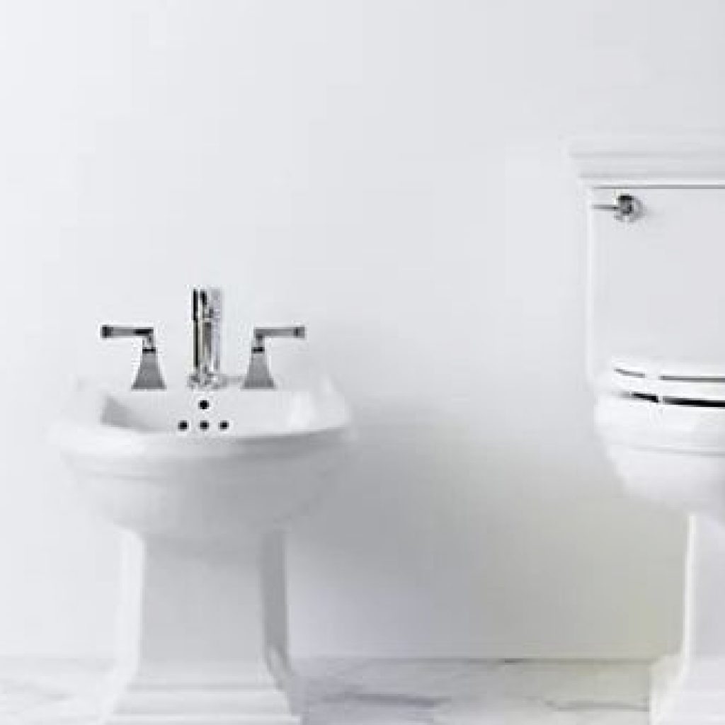 How to Use a Bidet