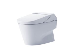 Integrated Bidet Toilet