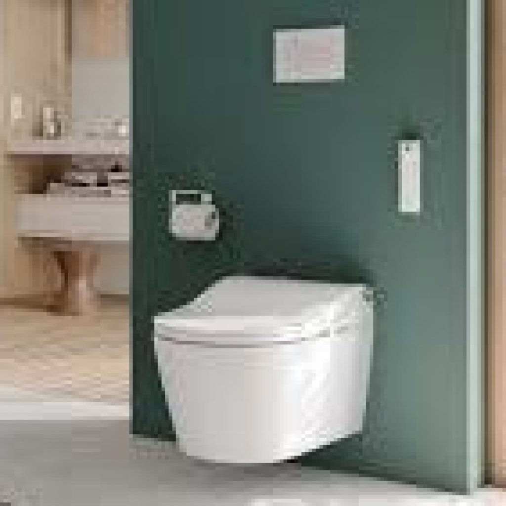 WASHLET vs Bidet Top 4 Considerations ManyBidets