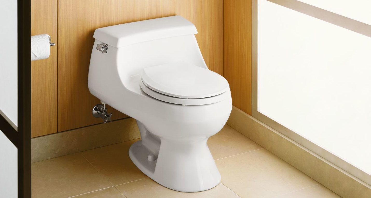 French curve toilet