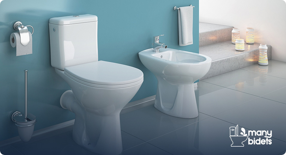 Bidets, Bidet Toilet Seats, and Bidet Faucets