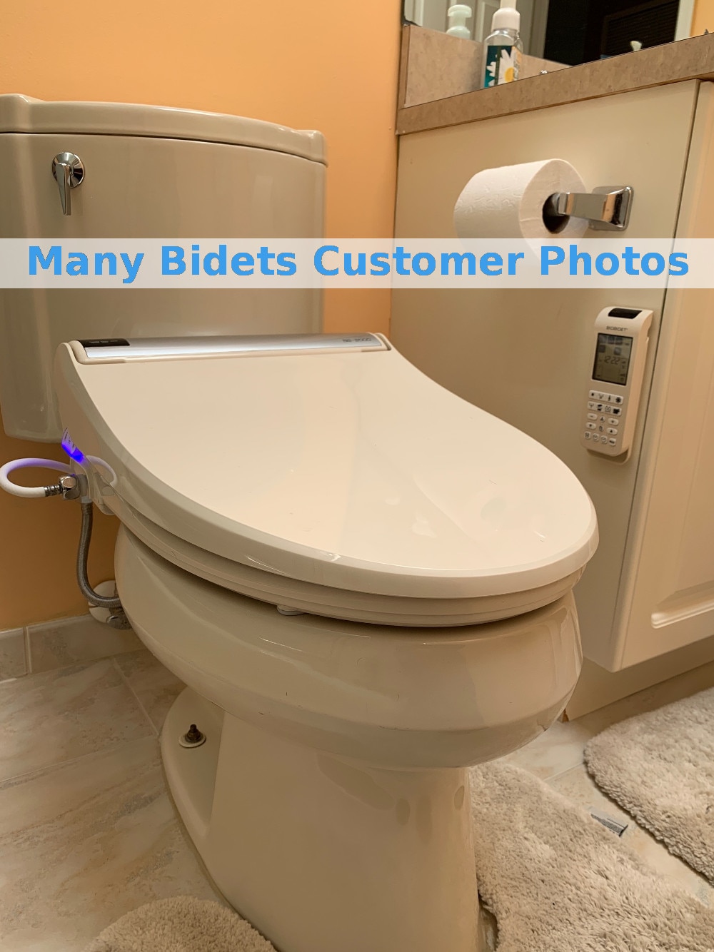 bio-bidet-beige-bliss-bb-2000-bidet-seat-customer-gallery-sk-1.jpg