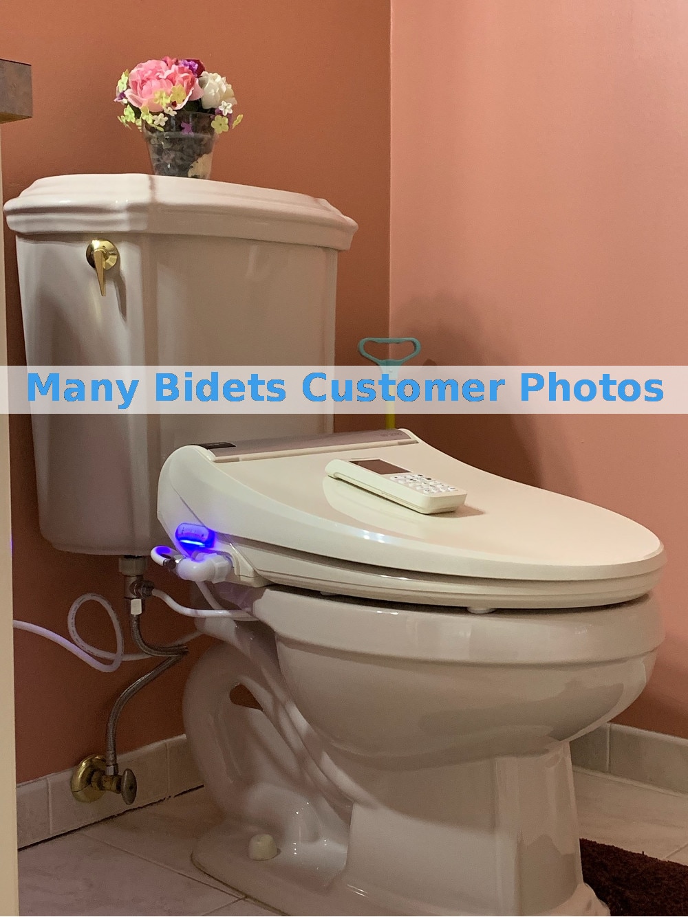 bio-bidet-beige-bliss-bb-2000-bidet-seat-customer-gallery-sk-2.jpg