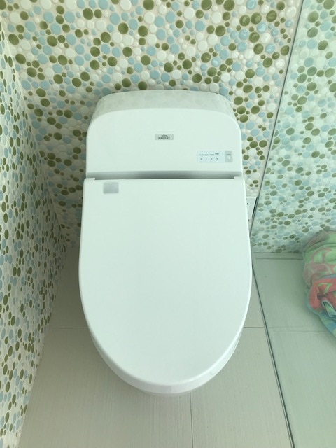 toto-g400-toilet-and-washlet-customer-photo-laura-b.jpg